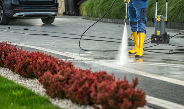 Best Roof Power Washing Services  in Hasley Nyon, CA